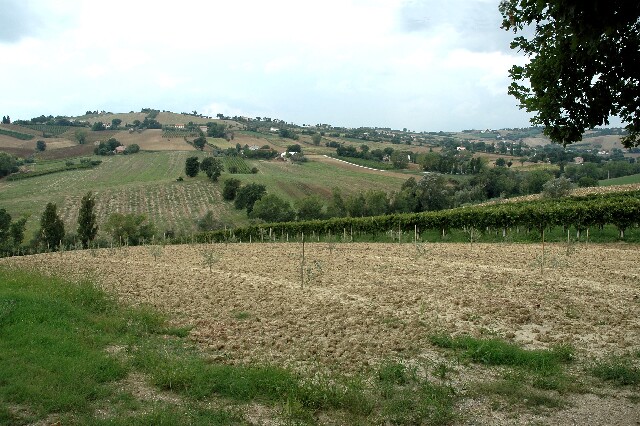 min 2006 08 25 corinaldo 165